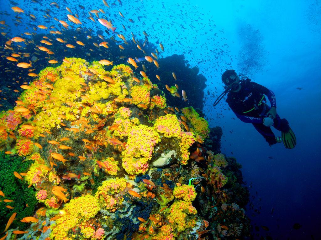 Marco Vincent Dive Resort Puerto Galera Exterior photo